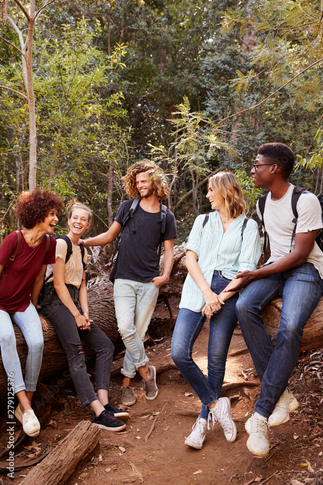 Un groupe de 5 jeunes adultes assis sur des tronc d'arbres en forêt.