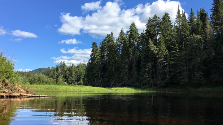 Une photo du paysage du Mont Tremblant sur la rivière. C'est magnifique!