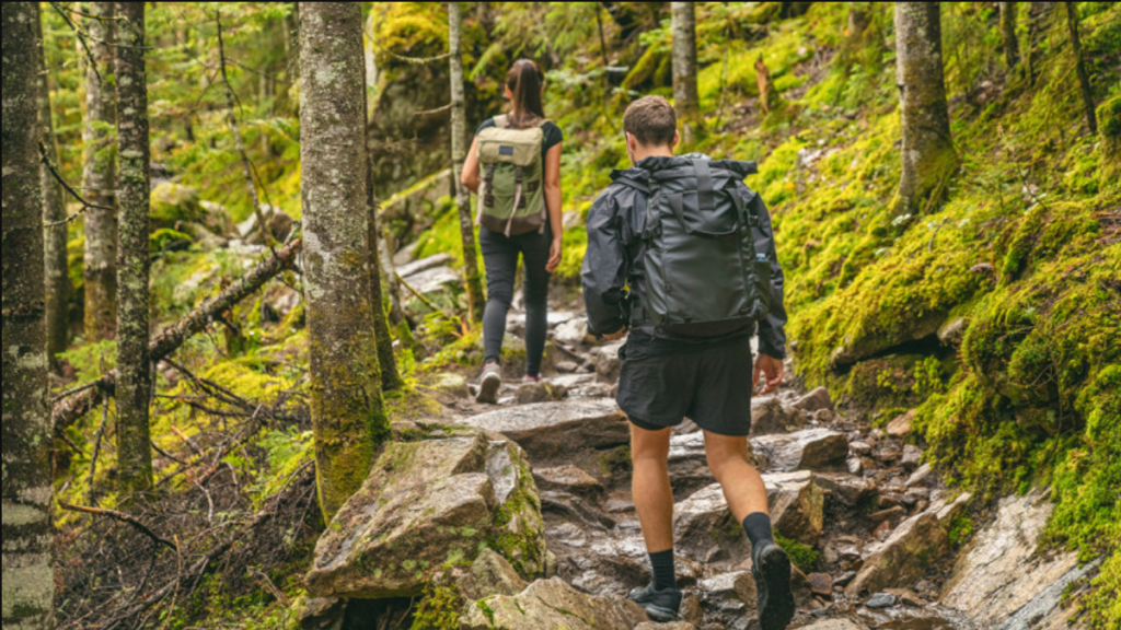 Deux hommes en randonnée pédestre dans la forêt sur un chemin de pierres.