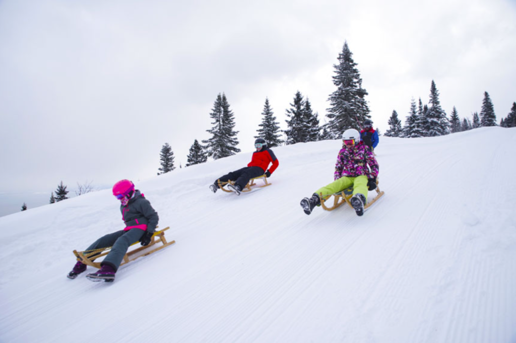 Trois enfants qui font de la luge pendant l'hiver sur une colline enneigée. Des sapins sont visibles en arrière de la colline.