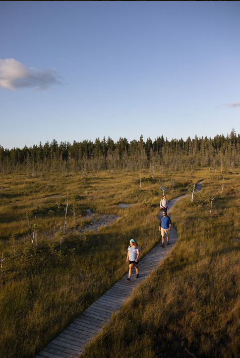 Une image du paysage du Parc National de Frontenac.