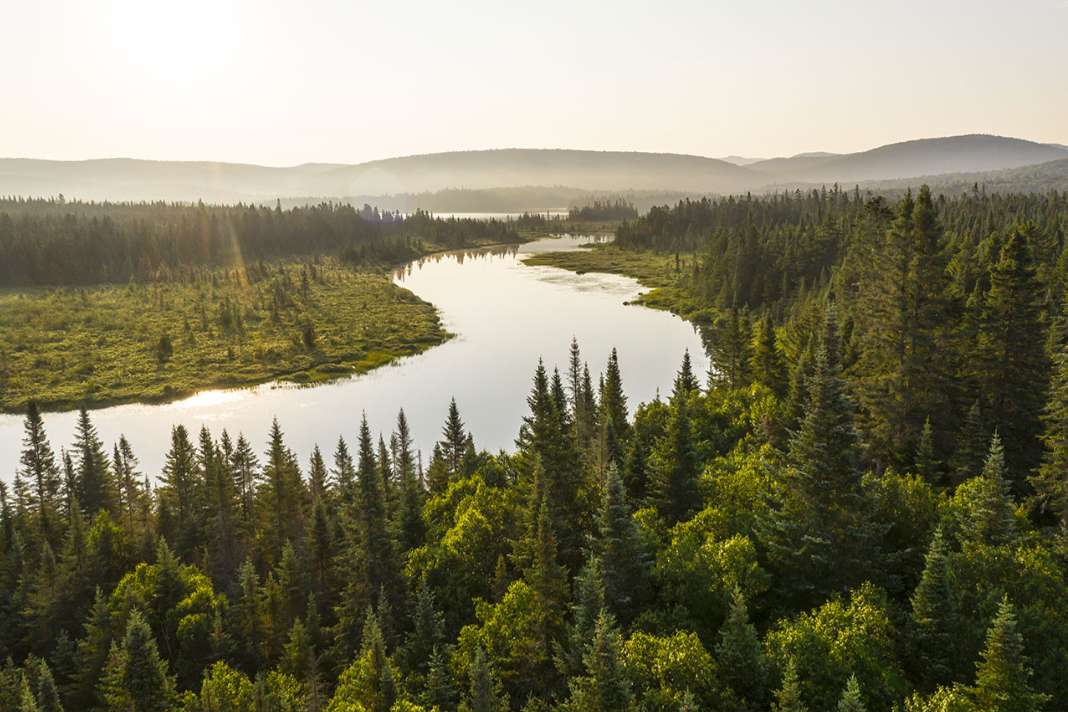 Une image du paysage du Parc National du Mont Tremblant.