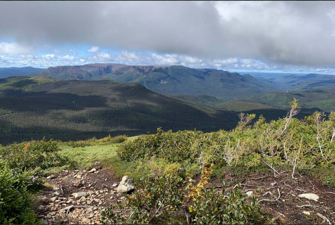 Une image du paysage du Parc national de la Gaspésie.