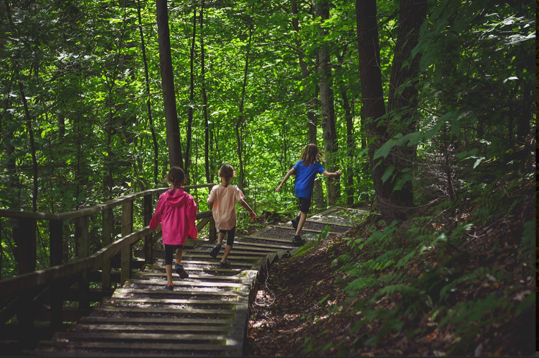 Une image dans la forêt de la Station touristique Duchesnay avec trois enfants.